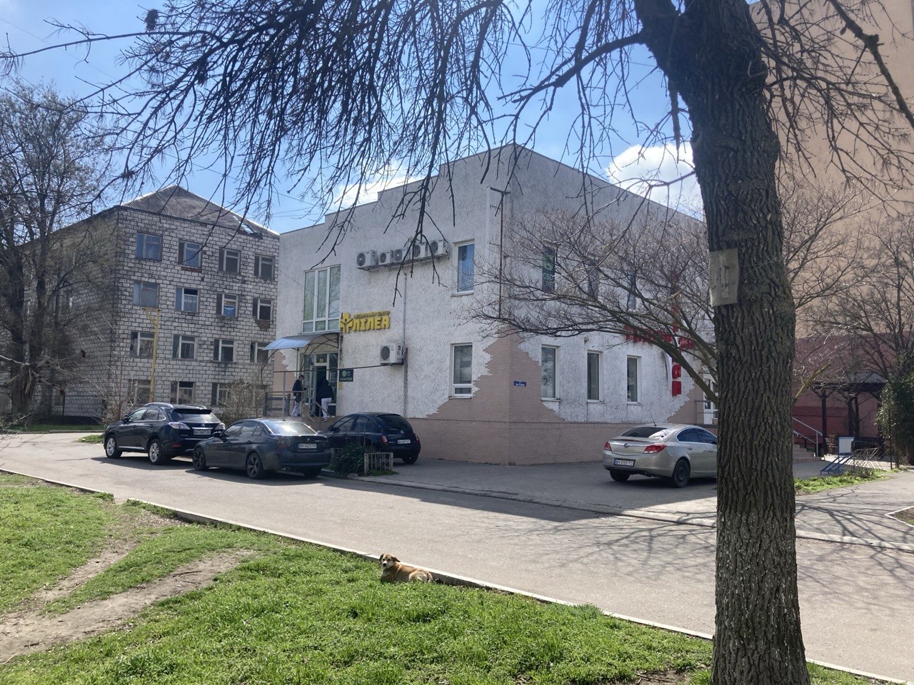 Медичний центр Лілея