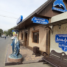 Дельфинъ1 