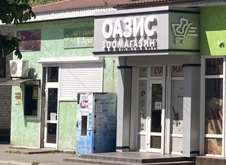 Оазис